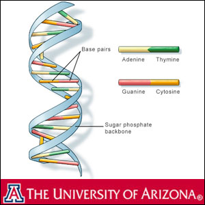 25. Early Earth and Life Processes